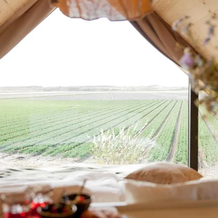 Ecohome Jutter 8 And Baby Zeezand Recreatie Feriehus *