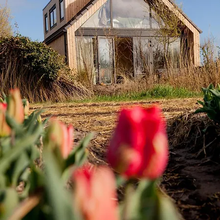 Ecohome Jutter 8 And Baby Zeezand Recreatie Feriehus