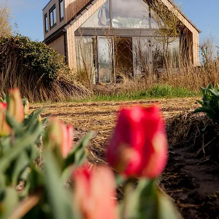 Ecohome Jutter 8 And Baby Zeezand Recreatie Holiday home