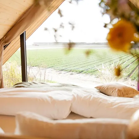 بيت للعطل Ecohome Jutter 8 And Baby Zeezand Recreatie