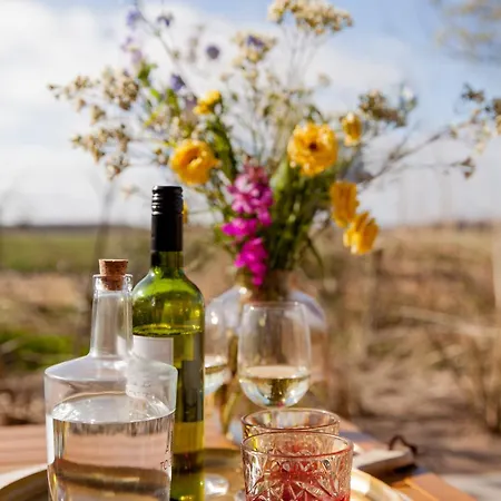 Feriehus Ecohome Jutter 8 And Baby Zeezand Recreatie 't Zand