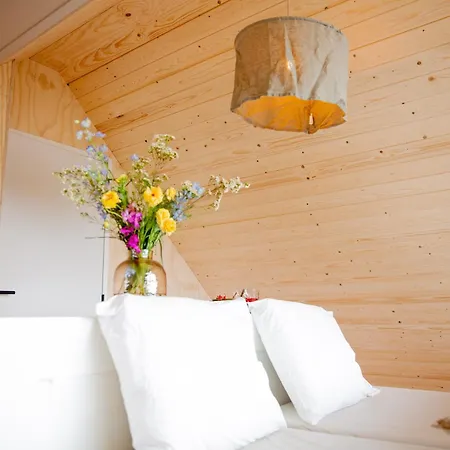 Ecohome Jutter 8 And Baby Zeezand Recreatie *