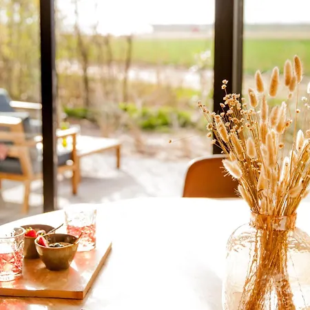 Ecohome Jutter 8 And Baby Zeezand Recreatie