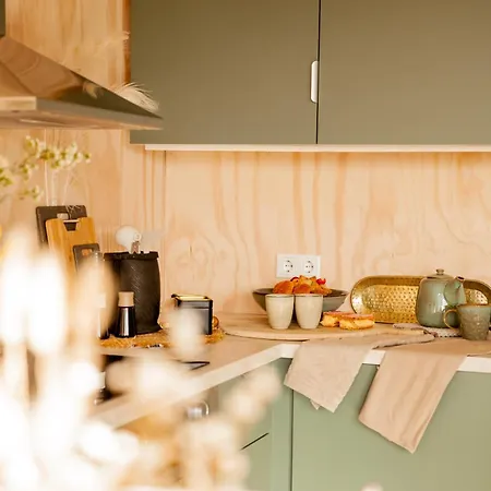 Ecohome Jutter 8 And Baby Zeezand Recreatie Feriehus