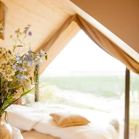 Ecohome Jutter 8 And Baby Zeezand Recreatie