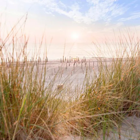 Ecohome Jutter 8 And Baby Zeezand Recreatie * 't Zand