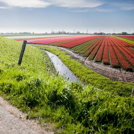 Ecohome Jutter 8 And Baby Zeezand Recreatie * 't Zand