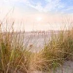 Ecohome Jutter 8 And Baby Zeezand Recreatie * 't Zand