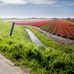 Ecohome Jutter 8 And Baby Zeezand Recreatie * 't Zand